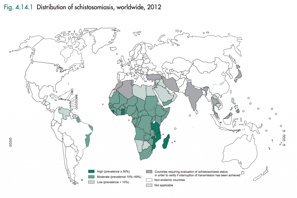 A Close Reading Of A WHO Report On Neglected Tropical Diseases – IRM